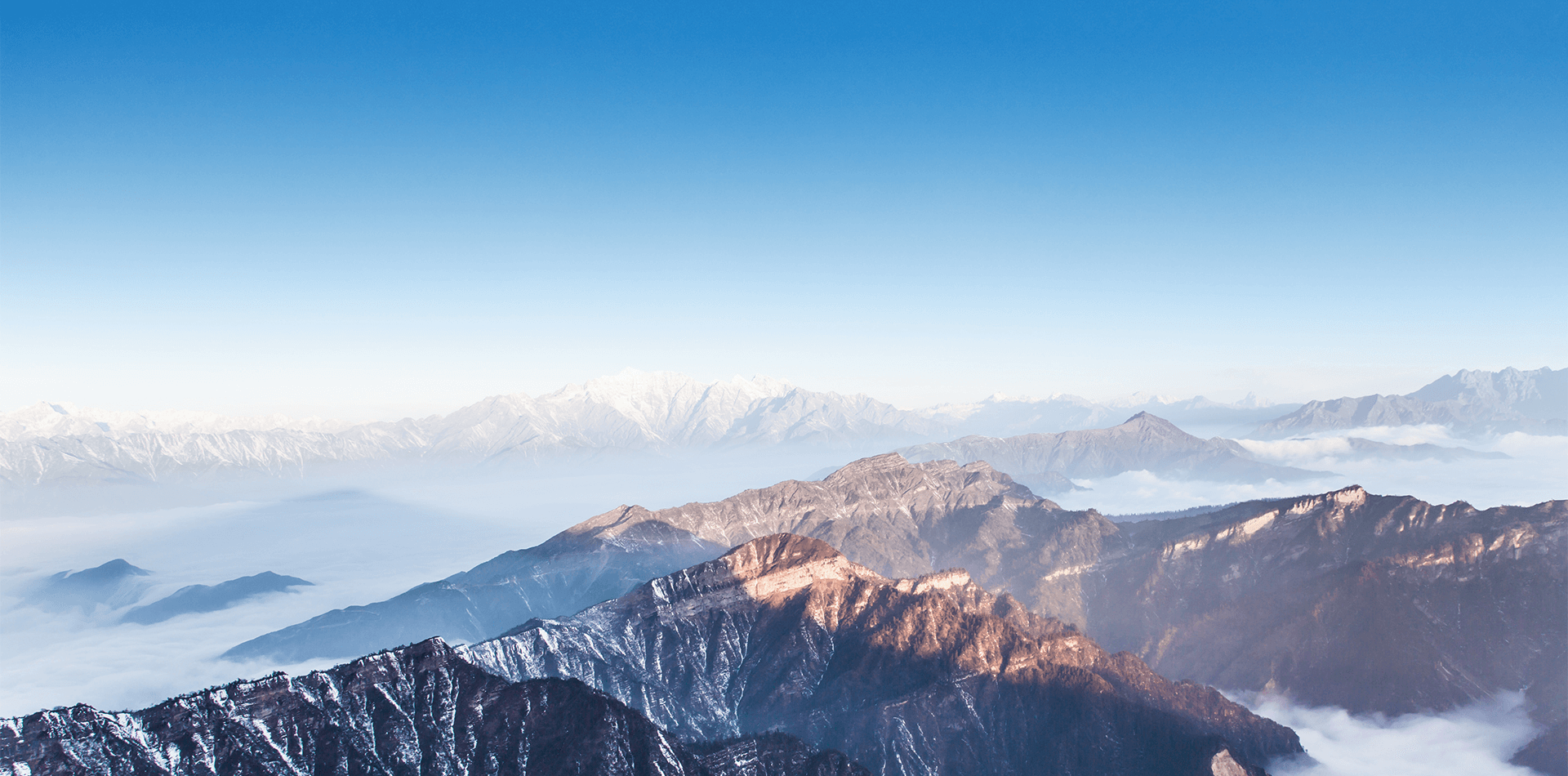 banner-1